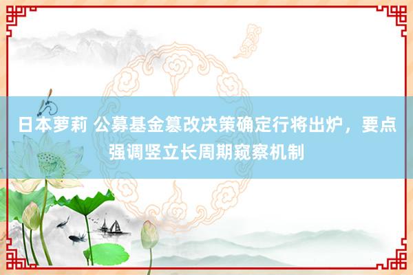 日本萝莉 公募基金篡改决策确定行将出炉，要点强调竖立长周期窥察机制