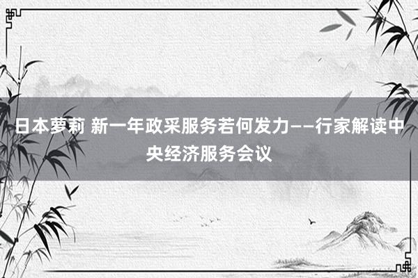 日本萝莉 新一年政采服务若何发力——行家解读中央经济服务会议