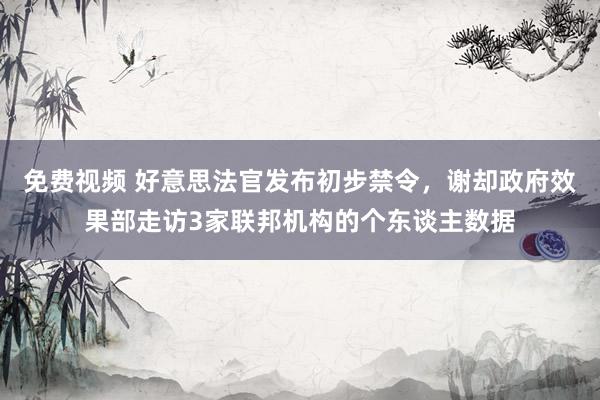 免费视频 好意思法官发布初步禁令，谢却政府效果部走访3家联邦机构的个东谈主数据