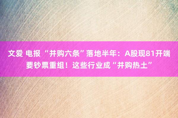 文爱 电报 “并购六条”落地半年：A股现81开端要钞票重组！这些行业成“并购热土”