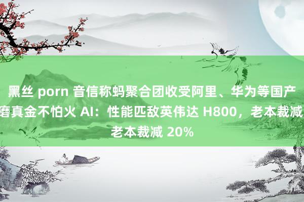 黑丝 porn 音信称蚂聚合团收受阿里、华为等国产芯片磨真金不怕火 AI：性能匹敌英伟达 H800，老本裁减 20%
