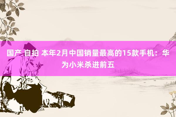 国产 自拍 本年2月中国销量最高的15款手机：华为小米杀进前五