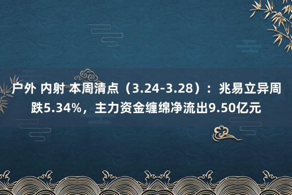 户外 内射 本周清点（3.24-3.28）：兆易立异周跌5.34%，主力资金缠绵净流出9.50亿元