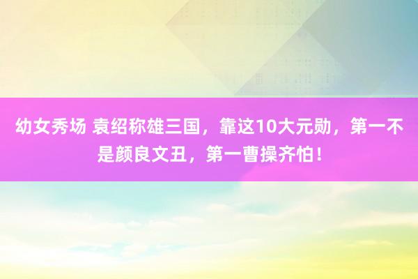 幼女秀场 袁绍称雄三国，靠这10大元勋，第一不是颜良文丑，第一曹操齐怕！