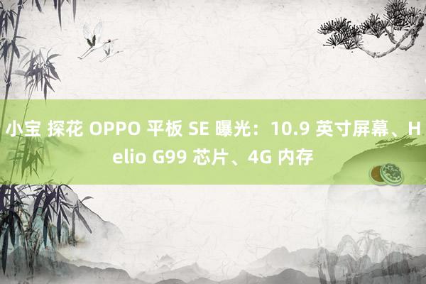 小宝 探花 OPPO 平板 SE 曝光：10.9 英寸屏幕、Helio G99 芯片、4G 内存