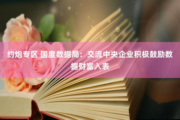 约炮专区 国度数据局：交流中央企业积极鼓励数据财富入表