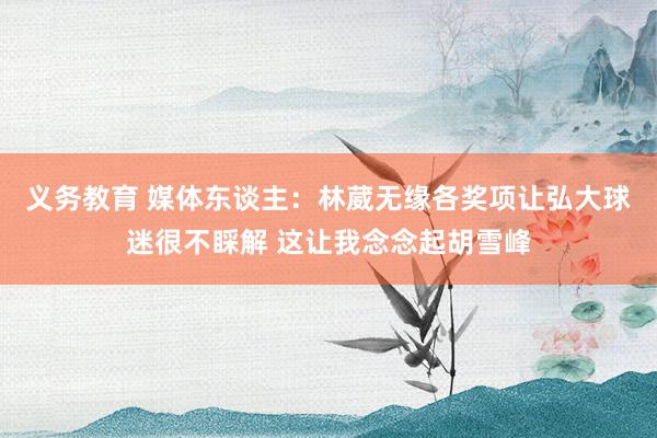 义务教育 媒体东谈主：林葳无缘各奖项让弘大球迷很不睬解 这让我念念起胡雪峰