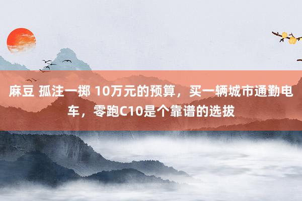 麻豆 孤注一掷 10万元的预算，买一辆城市通勤电车，零跑C10是个靠谱的选拔