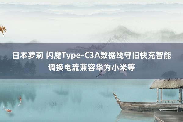 日本萝莉 闪魔Type-C3A数据线守旧快充智能调换电流兼容华为小米等