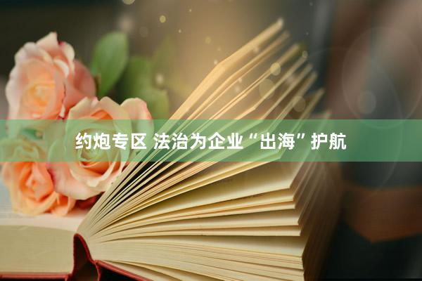 约炮专区 法治为企业“出海”护航