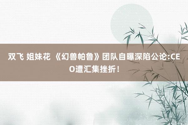双飞 姐妹花 《幻兽帕鲁》团队自曝深陷公论:CEO遭汇集挫折！