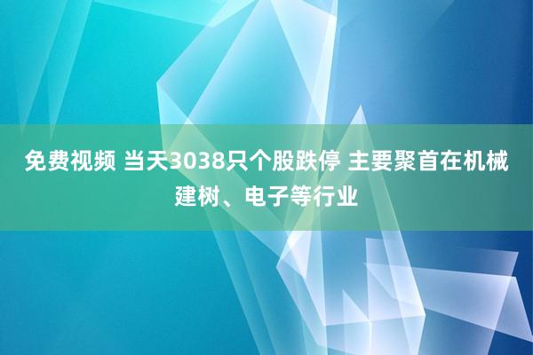 免费视频 当天3038只个股跌停 主要聚首在机械建树、电子等行业