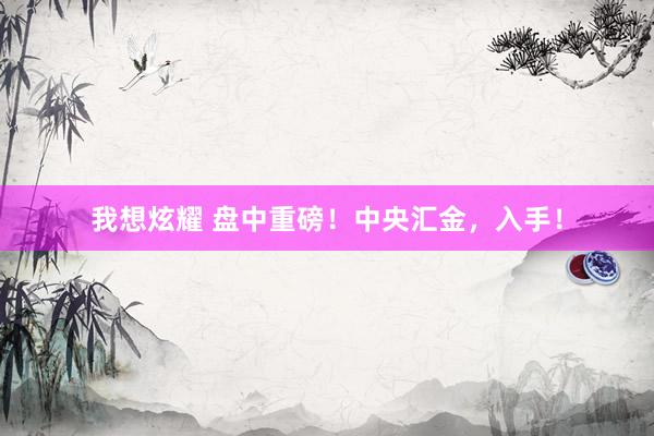 我想炫耀 盘中重磅！中央汇金，入手！