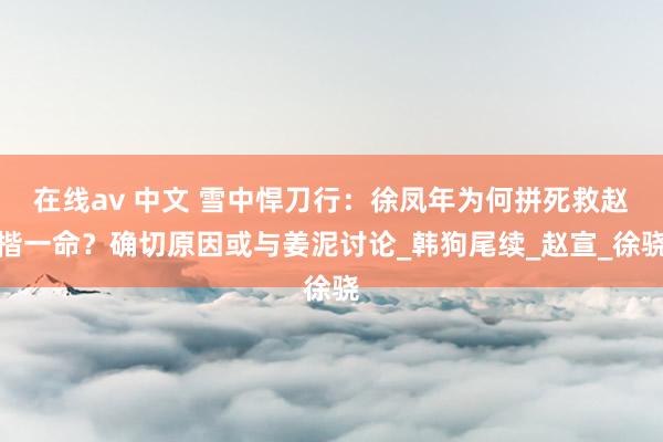 在线av 中文 雪中悍刀行：徐凤年为何拼死救赵楷一命？确切原因或与姜泥讨论_韩狗尾续_赵宣_徐骁