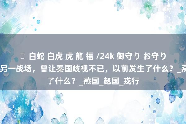 ✨白蛇 白虎 虎 龍 福 /24k 御守り お守り 长平大战还有另一战场，曾让秦国歧视不已，以前发生了什么？_燕国_赵国_戎行
