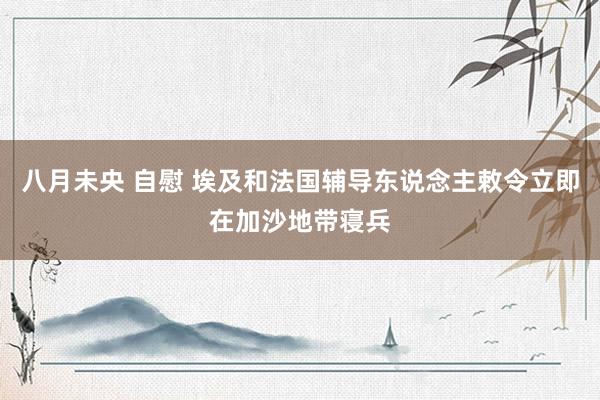 八月未央 自慰 埃及和法国辅导东说念主敕令立即在加沙地带寝兵