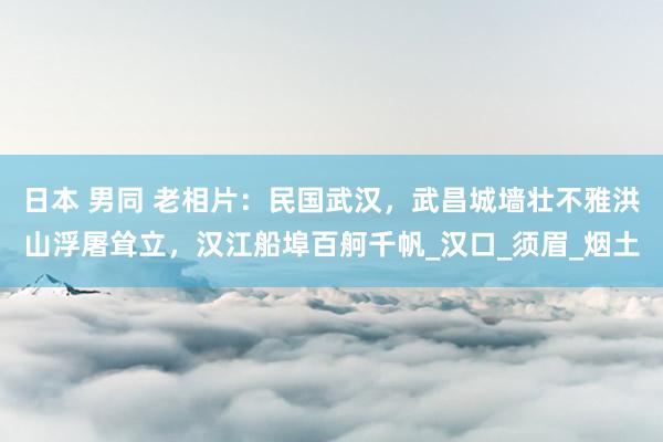 日本 男同 老相片：民国武汉，武昌城墙壮不雅洪山浮屠耸立，汉江船埠百舸千帆_汉口_须眉_烟土