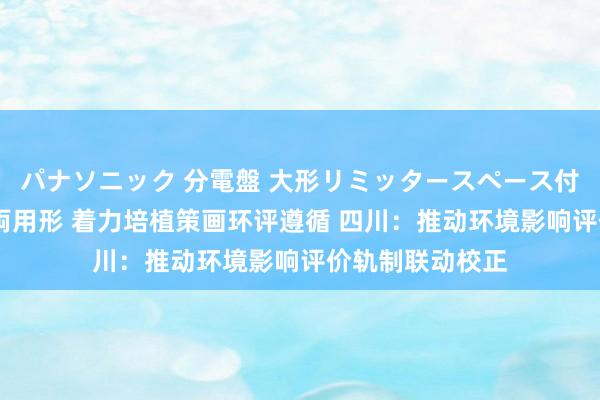 パナソニック 分電盤 大形リミッタースペース付 露出・半埋込両用形 着力培植策画环评遵循 四川：推动环境影响评价轨制联动校正