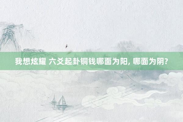 我想炫耀 六爻起卦铜钱哪面为阳， 哪面为阴?