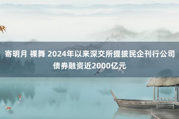 寄明月 裸舞 2024年以来深交所提拔民企刊行公司债券融资近2000亿元