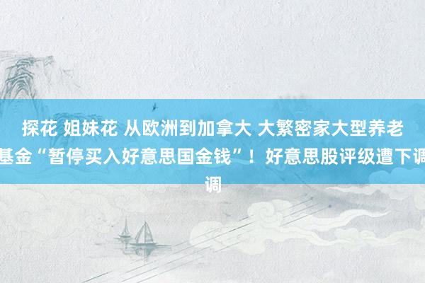 探花 姐妹花 从欧洲到加拿大 大繁密家大型养老基金“暂停买入好意思国金钱”！好意思股评级遭下调