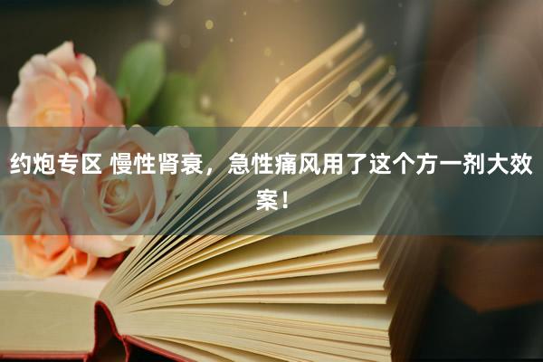 约炮专区 慢性肾衰，急性痛风用了这个方一剂大效案！