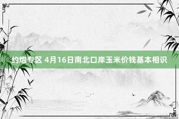 约炮专区 4月16日南北口岸玉米价钱基本相识
