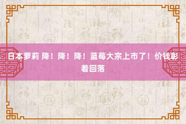日本萝莉 降！降！降！蓝莓大宗上市了！价钱彰着回落
