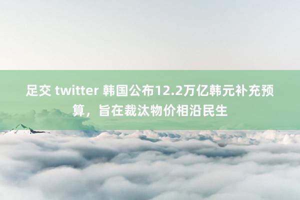 足交 twitter 韩国公布12.2万亿韩元补充预算，旨在裁汰物价相沿民生