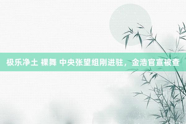 极乐净土 裸舞 中央张望组刚进驻，金浩官宣被查