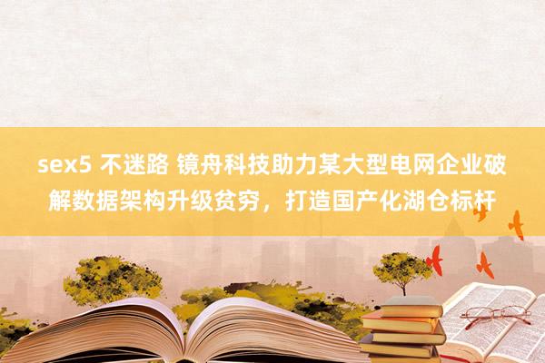 sex5 不迷路 镜舟科技助力某大型电网企业破解数据架构升级贫穷，打造国产化湖仓标杆