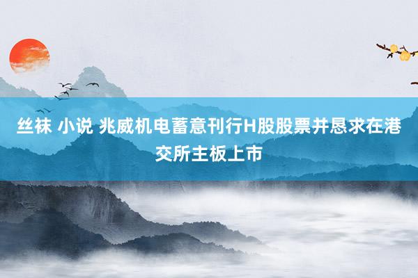 丝袜 小说 兆威机电蓄意刊行H股股票并恳求在港交所主板上市