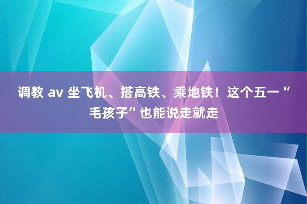 调教 av 坐飞机、搭高铁、乘地铁！这个五一“毛孩子”也能说走就走