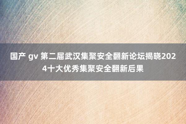 国产 gv 第二届武汉集聚安全翻新论坛揭晓2024十大优秀集聚安全翻新后果